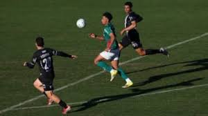 Palmeiras vence Inter de Limeira com gols de Crias