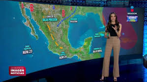 MSN - News update