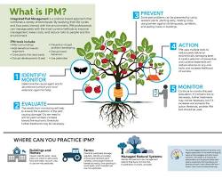 Image of Integrated pest management