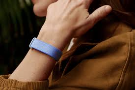 Google Launches $100 Fitbit Air Without a Screen to Rival Whoop