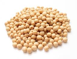 Image result for nutritional information on soybeans