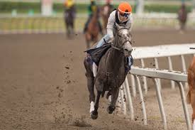 Rail-Drawn Luster Bids for King's Plate Glory