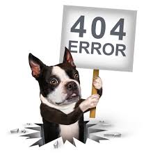 Image result for 404 error dog/url?q=https://www.shutterstock.com/search/404-error-animal