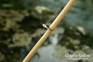 Diy bamboo fishing pole