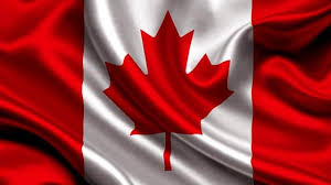 INsauga - News update