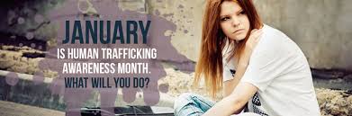 Image result for shared hope international
