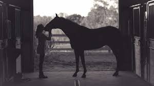 EHV-1 Outbreak: Deaths Among Horses Linked to Waco, Texas Event
