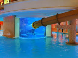 water slide through shark tank – Bild von Golden Nugget Hotel, Las ... - filename-p1020261-jpg