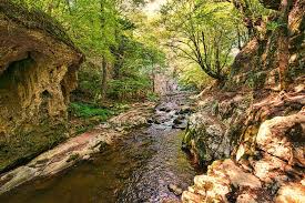 Imagini pentru cele mai frumoase cascade din lume video