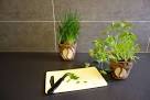 Planter Pots on Pinterest Planters, Gardens and Plants