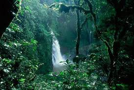 Resultat d'imatges de SELVA TROPICAL rio subterraneo puerto princesa