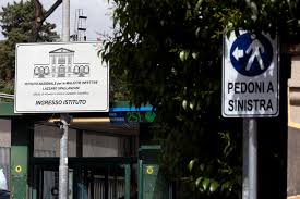 Trend Google: hantavirus milano