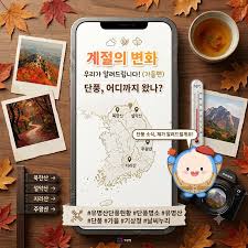 단풍