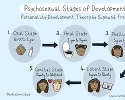 Immagine di Freud's psychosexual stages