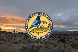 Z107.7 FM Joshua Tree - News update