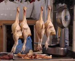 Cara ternak Ayam Potong
