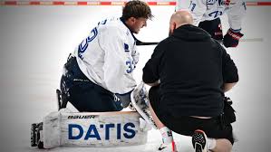 Adler Mannheim - News update