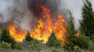 Resultado de imagen para fotos de incendios forestales