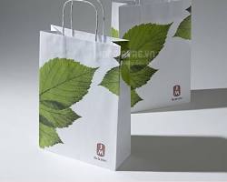 Hình ảnh về Túi giấy làm từ giấy Ford