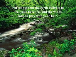 10-great-quotes-on-nature-2-728.jpg?cb=1228629820 via Relatably.com