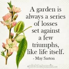 LIFE QUOTES on Pinterest | Love quotes, Life quotes and Lets Go via Relatably.com