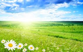 Image result for sky nature images