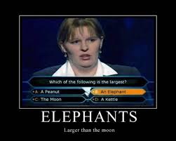 Funny Quotes For Work. QuotesGram via Relatably.com