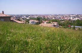 Picture of Toulouse Pech-David