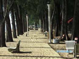 Image result for pantai irama