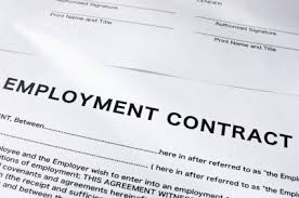Resultado de imagem para employment contracts