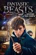 Fantastic Beasts And Where To Find Them