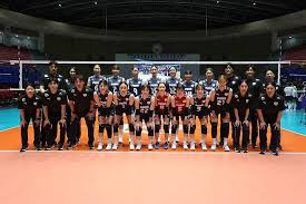 avc컵 여자 배구 대회 아이콘