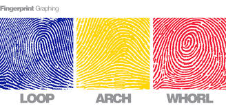Résultat de recherche d'images pour "fingerprint types"