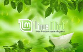Hasil gambar untuk gambar linux mint