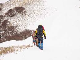 News source: au Webポータル