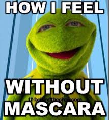 Supreme ten eminent quotes about mascara photo Hindi | WishesTrumpet via Relatably.com