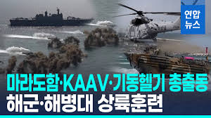 [영상] 포항서 해군·해병대 합동상륙훈련 실시…美·뉴질랜드군 합류