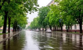 TV Губерния - News update