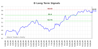 (D) Investment Analysis and Advice