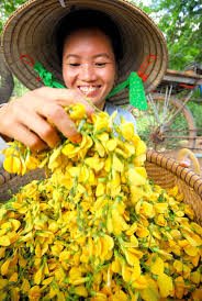 Về MIỀN TÂY ăn cá LINH nhé Ae ... Mời Ae thưởng thức ... !