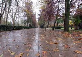 هواشناسی رشت