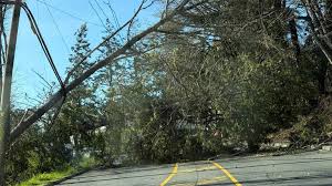 News source: NanaimoNewsNOW