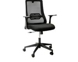 Image of Ergonomic Mesh King chair from Littlelotsonline.com