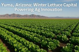 AgNet West - News update