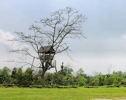 Image of Sky View, Mawlynnong