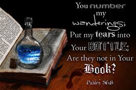 Image result for images psalm 56:8