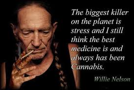 Best Willie Nelson Weed Memes &amp; Marijuana Quotes - Weed Memes via Relatably.com