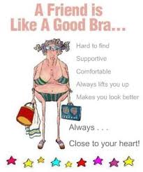 Cute Quote About Friends: A Friend is Like a Good Bra - Funny But ... via Relatably.com