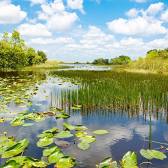 Everglades National Park