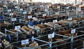 Résultat de recherche d'images pour 